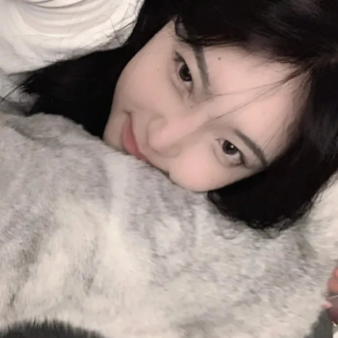 纽约鸟王