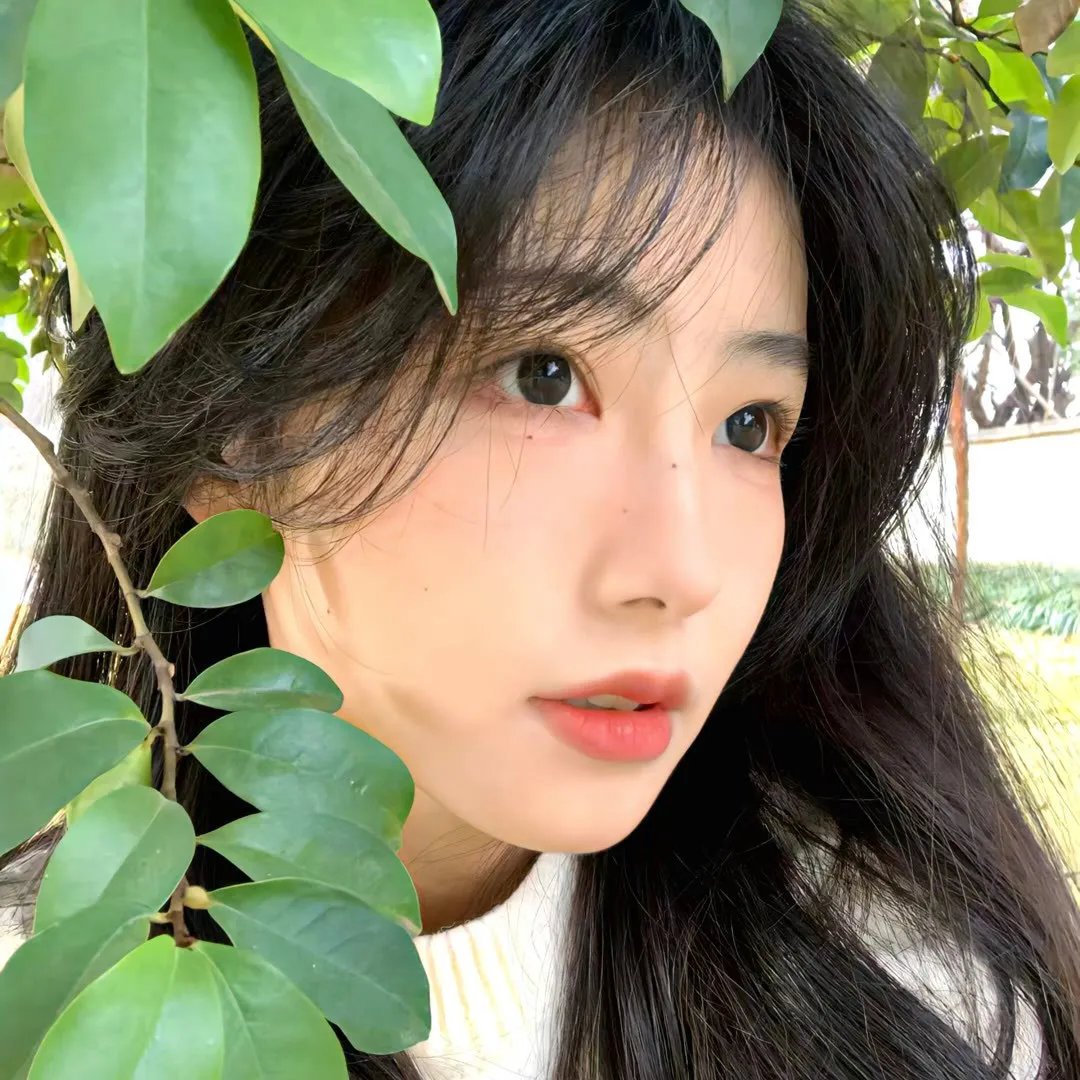 兔子和公牛