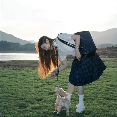 拯救林肯